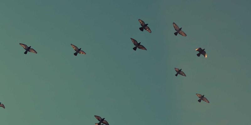 格格城市生活指南：探索周边五大自然秘境与户外探险路线